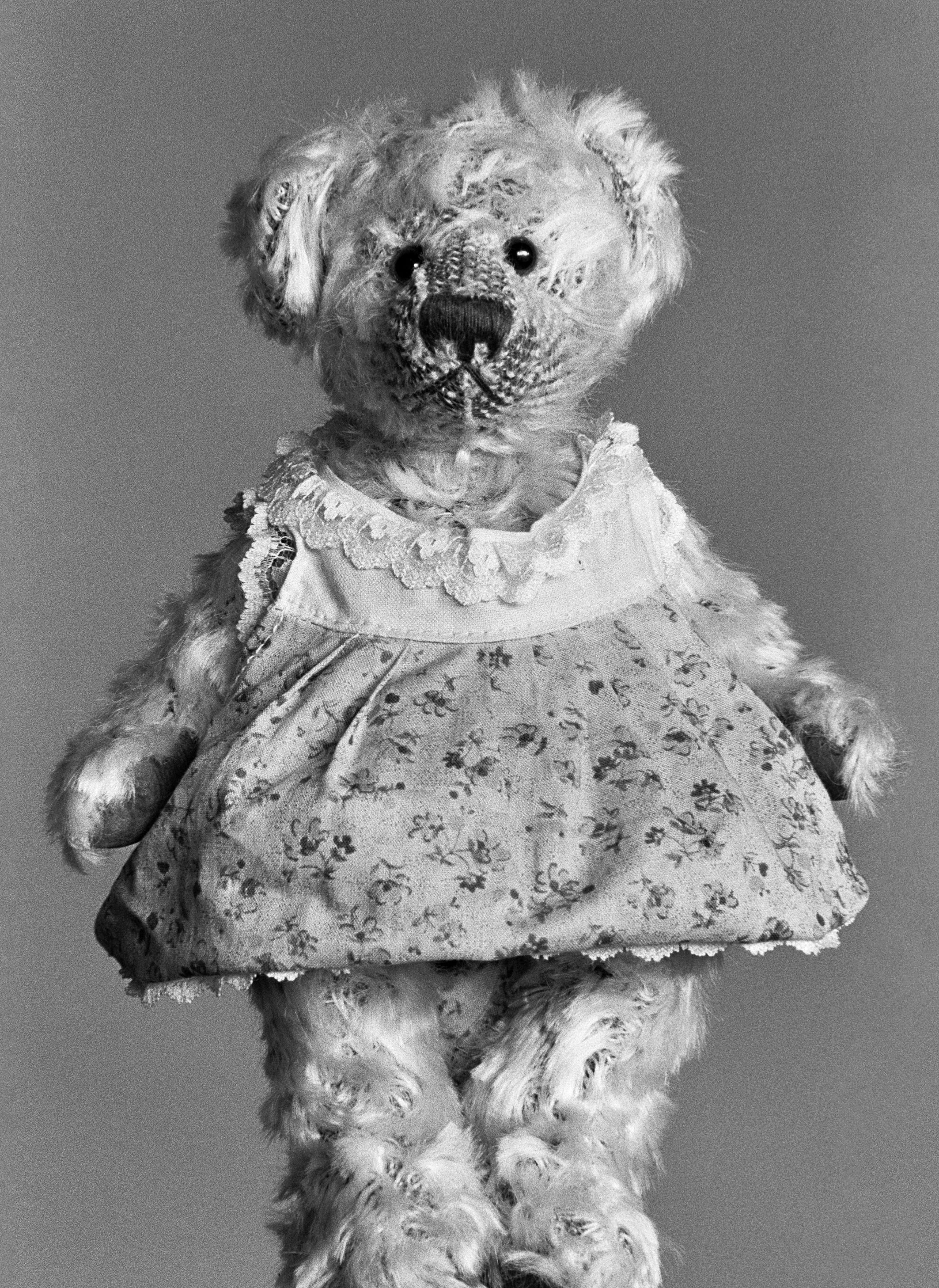 diepte Graag gedaan Overtekenen Beer & Teddy | Fotomuseum Den Haag